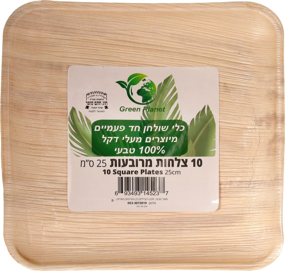 Green Planet | צלחות מרובעות מעלי דקל 25 ס”מ